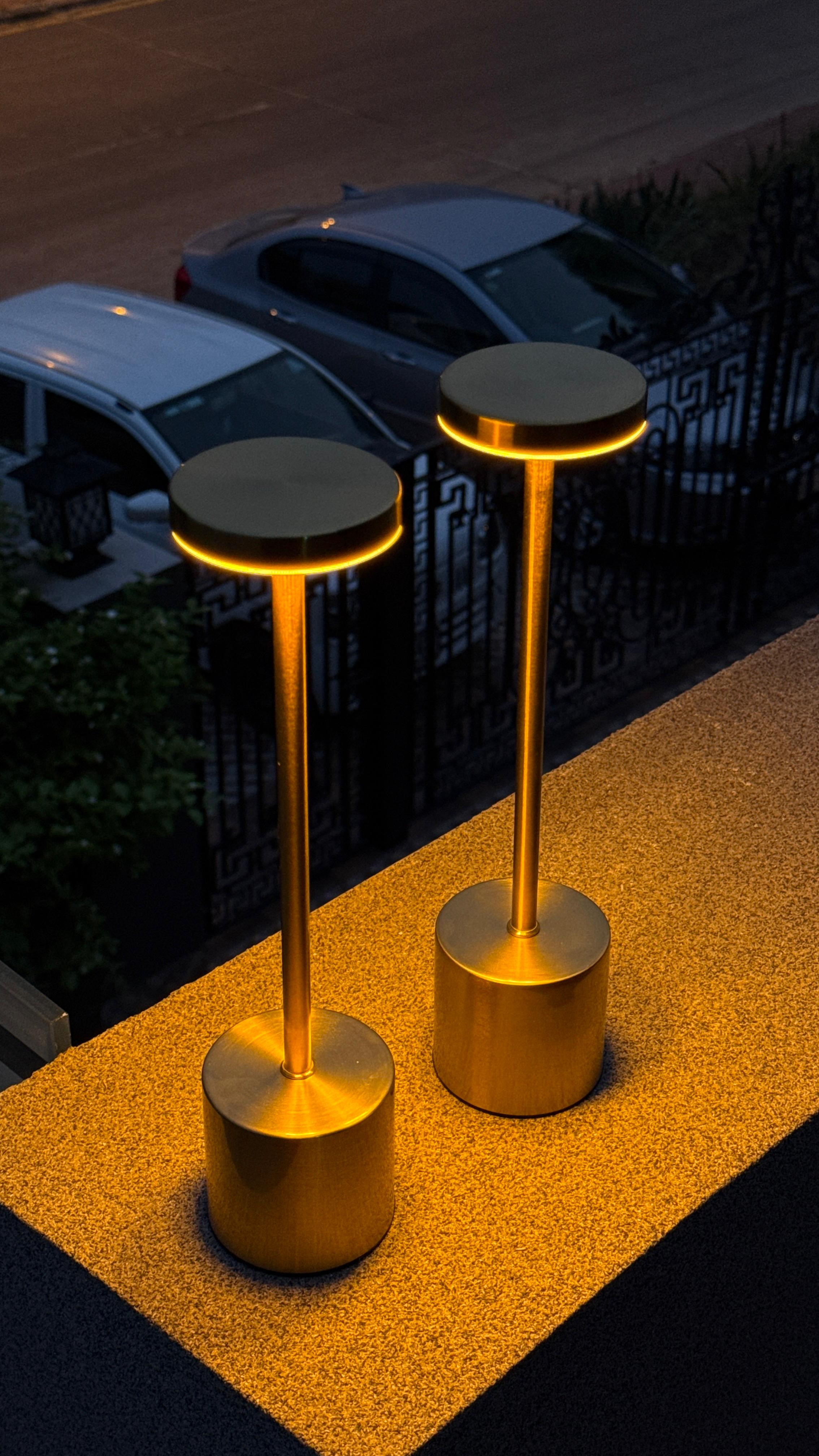Gooseneck Lamp